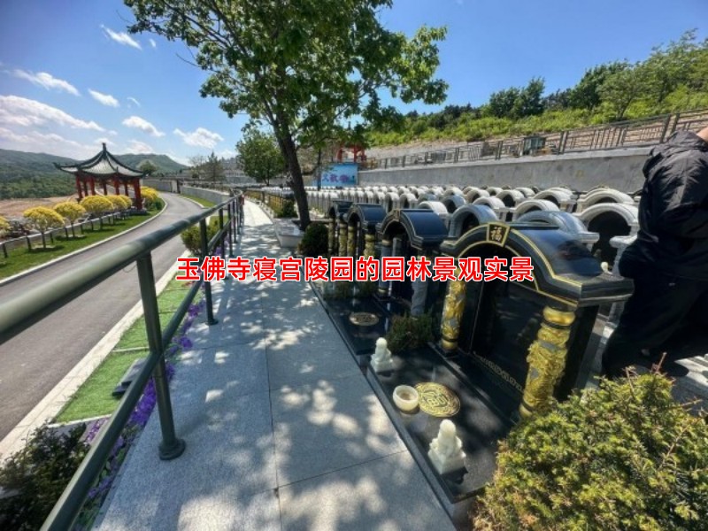 玉佛寺寝宫陵园的园林景观实景