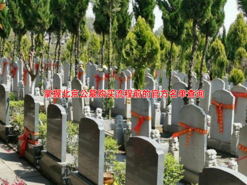 掌握北京公墓购买流程前的官方名单查询