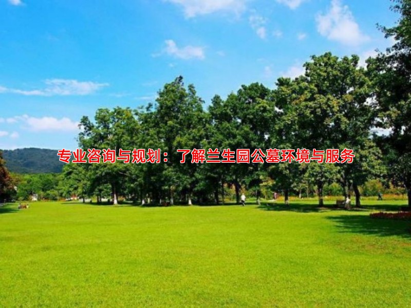 专业咨询与规划：了解兰生园公墓环境与服务