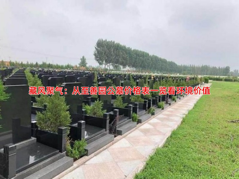 藏风聚气：从至善园公墓价格表一览看环境价值