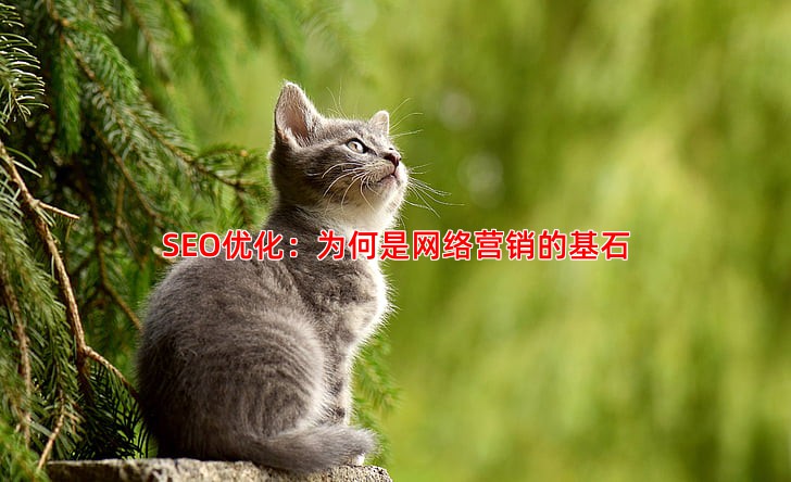 SEO优化是什么意思为什么说它是网络营销的基石