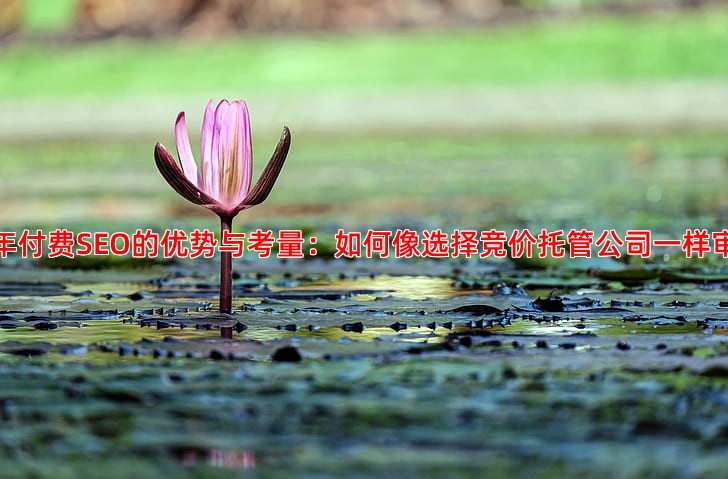 SEO优化按年付费和按月付费哪种更划算