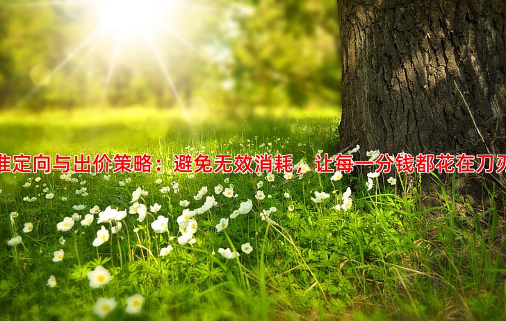 如何操作百度推广账户才能有效控制成本提升效果
