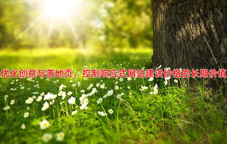 质量度提升秘籍优化竞价账户点击率与转化成本
