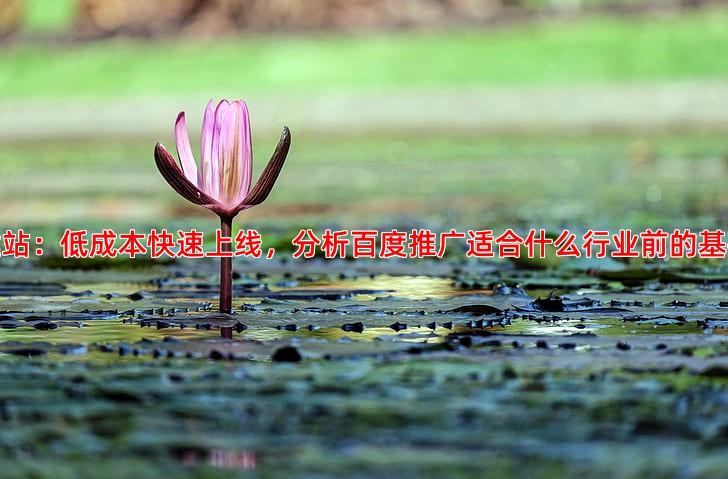 网站建设费用全解析模板定制与功能开发的区别