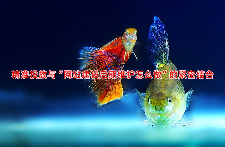 企业如何操作百度推广才能获得更多客户咨询