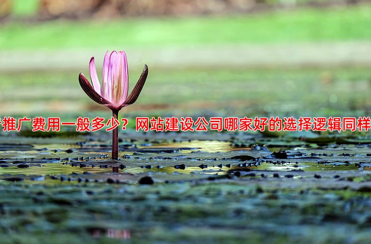 抖音推广费用一般多少，中小商家如何控制成本