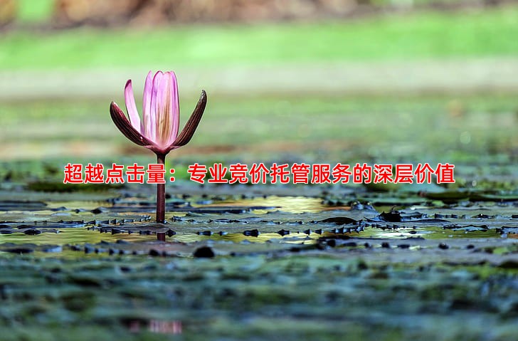 百度推广效果评估从点击量到成交转化