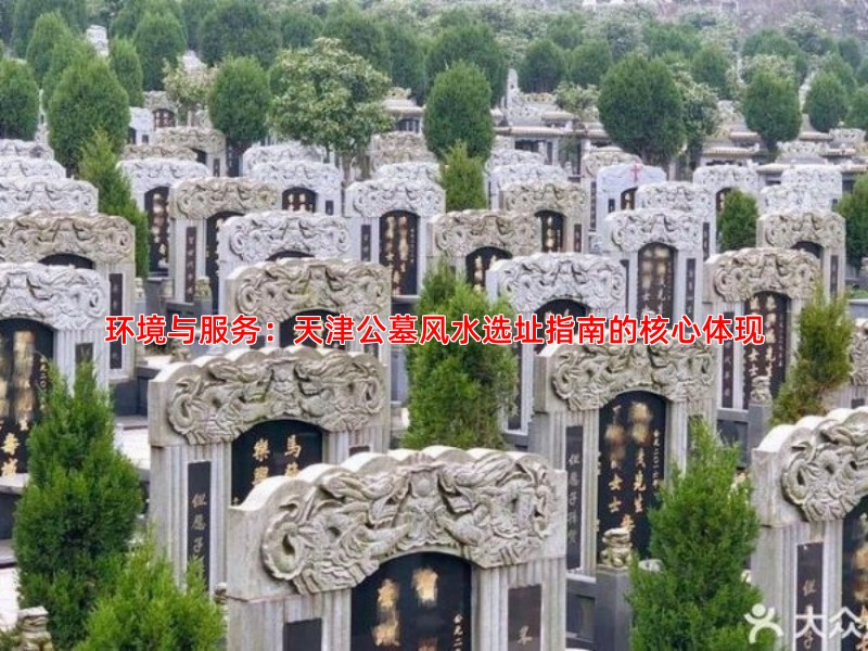 环境与服务：天津公墓风水选址指南的核心体现
