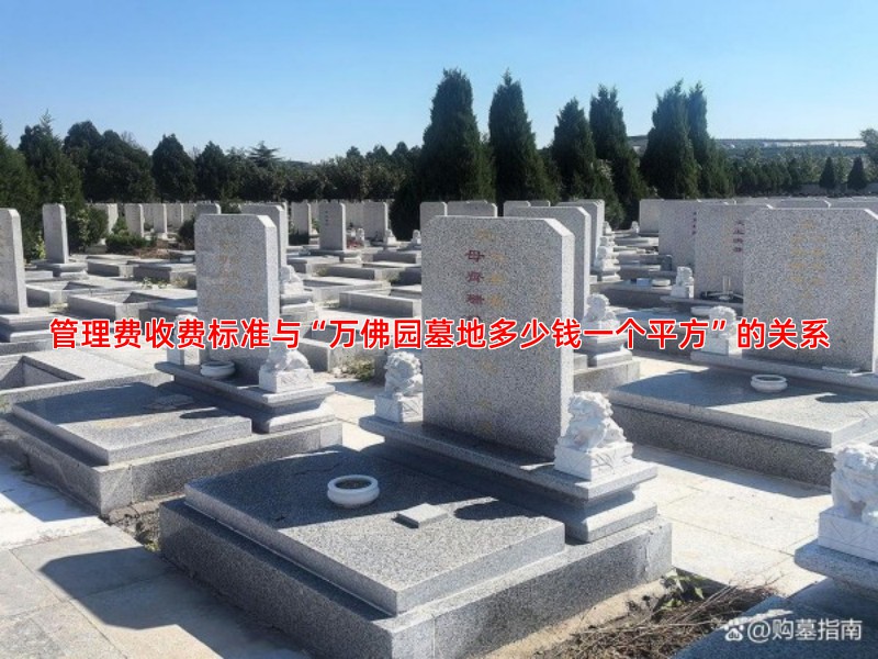 管理费收费标准与“万佛园墓地多少钱一个平方”的关系