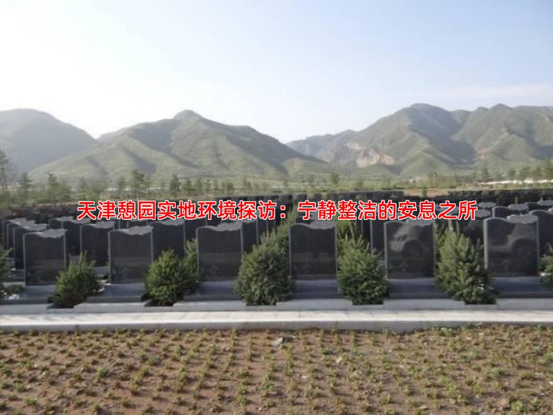 天津憩园实地环境探访：宁静整洁的安息之所