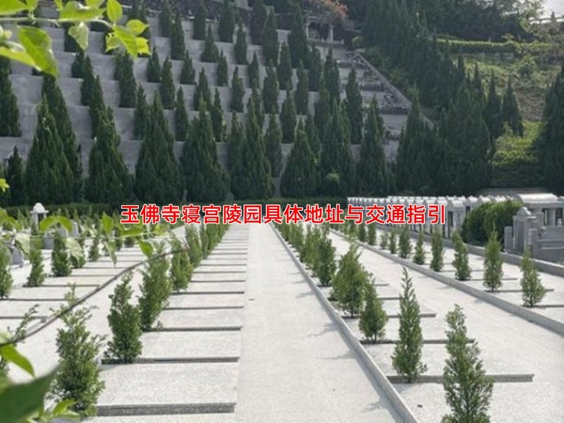 玉佛寺寝宫陵园具体地址与交通指引