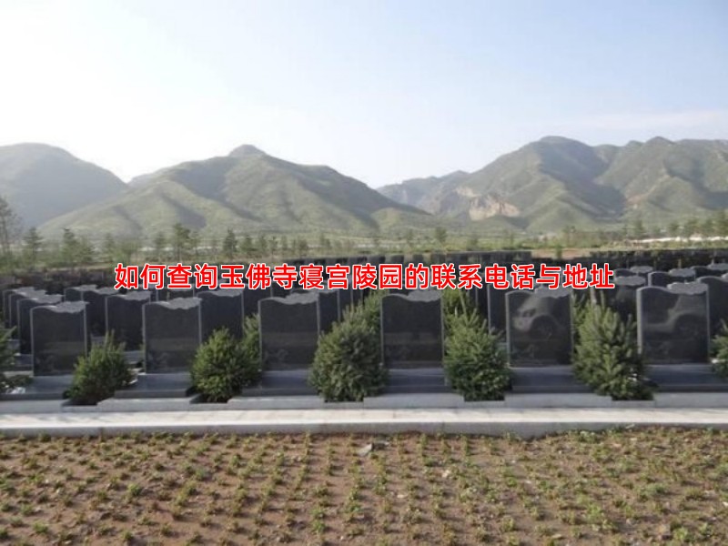 如何查询玉佛寺寝宫陵园的联系电话与地址