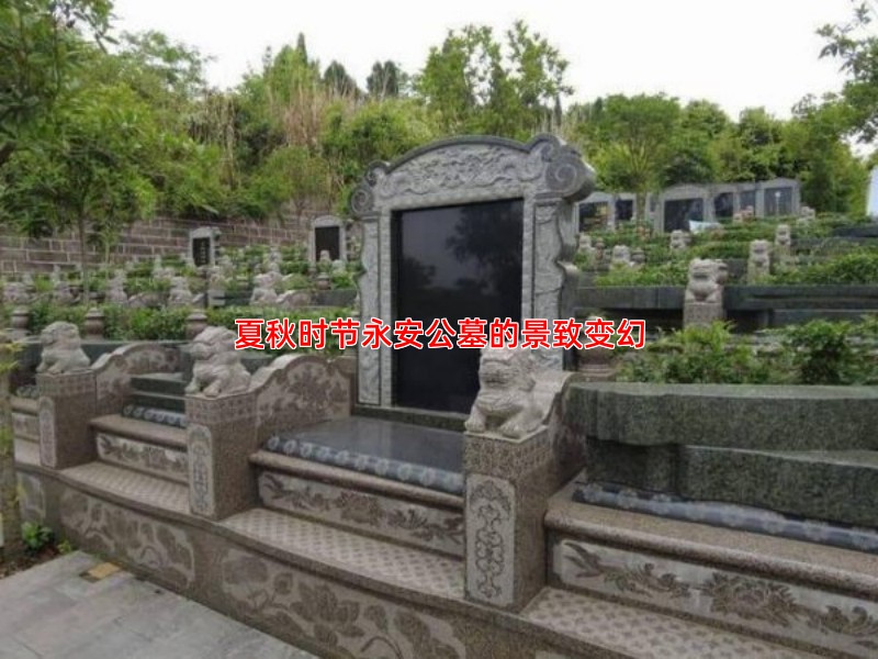 夏秋时节永安公墓的景致变幻