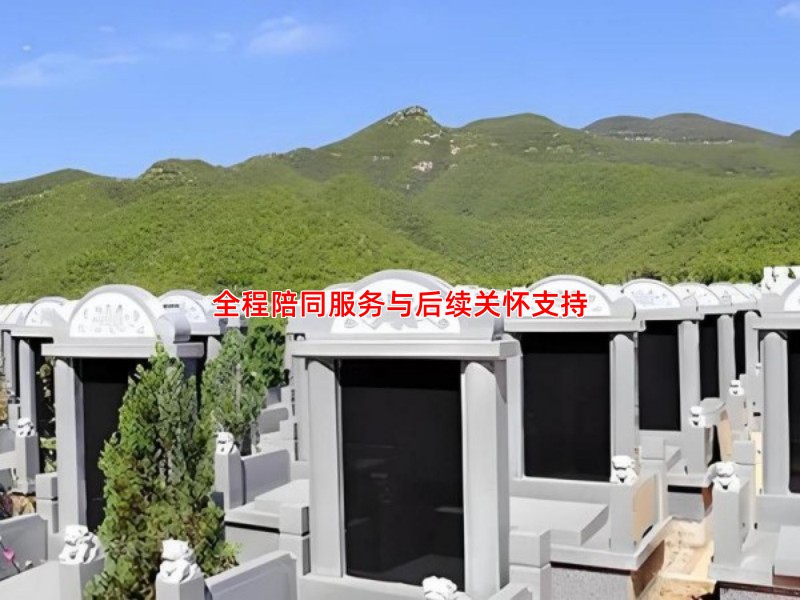 全程陪同服务与后续关怀支持
