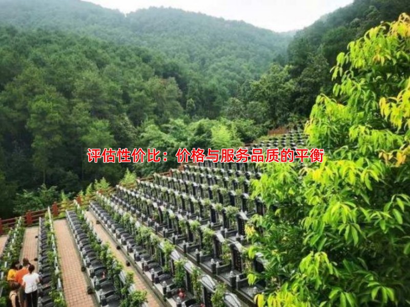 评估性价比：价格与服务品质的平衡