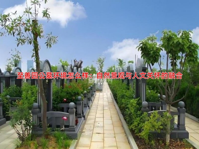 至善园公墓环境怎么样：自然景观与人文关怀的融合