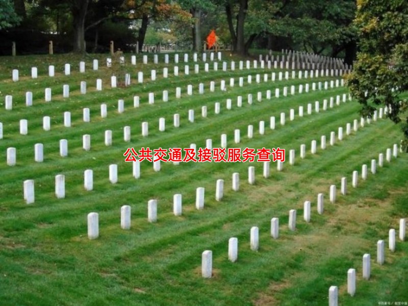 公共交通及接驳服务查询