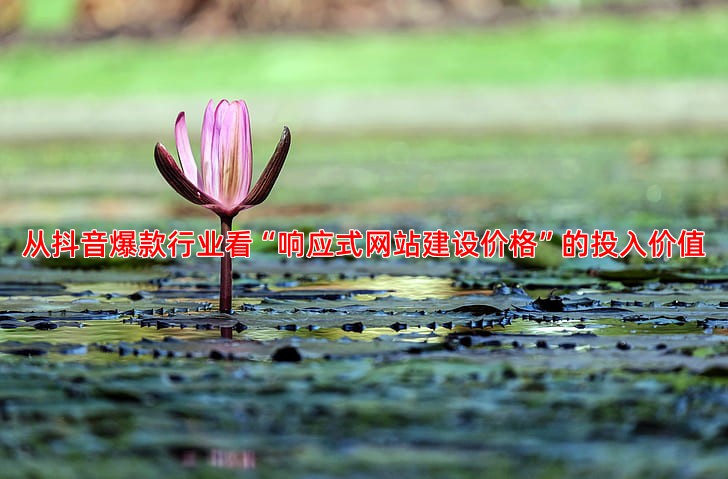 抖音推广效果好的行业有哪些可以借鉴