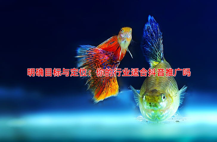 如何制定有效的抖音推广计划并持续优化