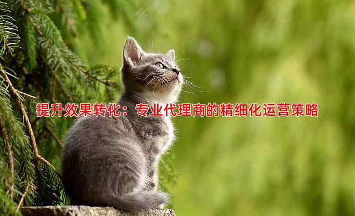 提升效果转化：专业代理商的精细化运营策略