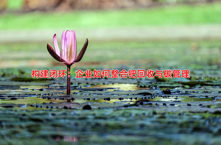 构建闭环：企业如何整合钯回收与碳管理