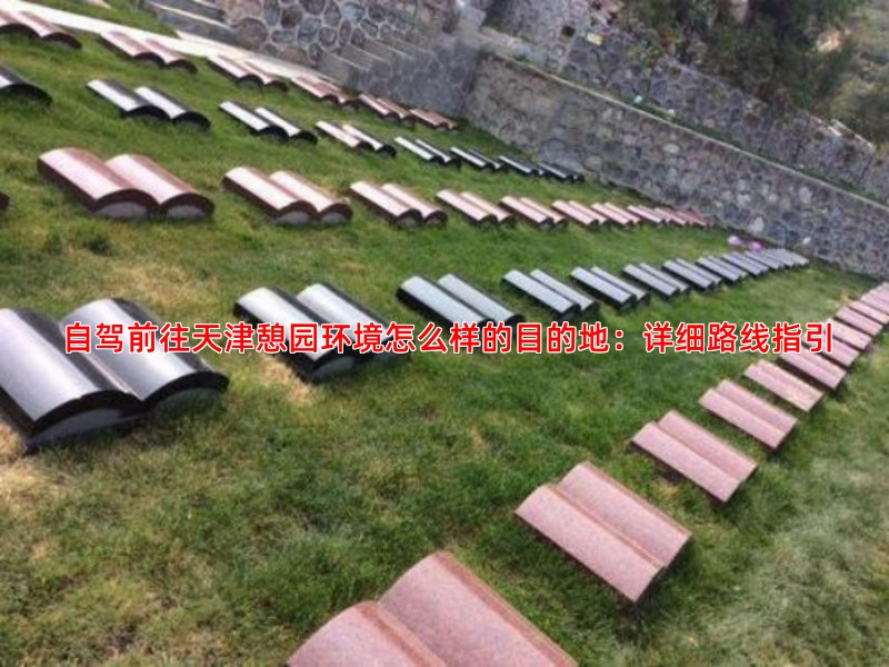 自驾前往天津憩园环境怎么样的目的地：详细路线指引