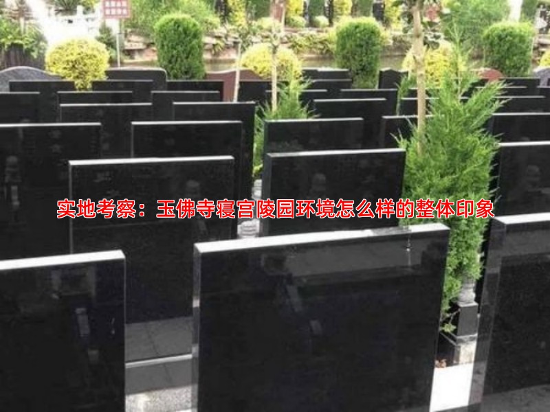 实地考察：玉佛寺寝宫陵园环境怎么样的整体印象