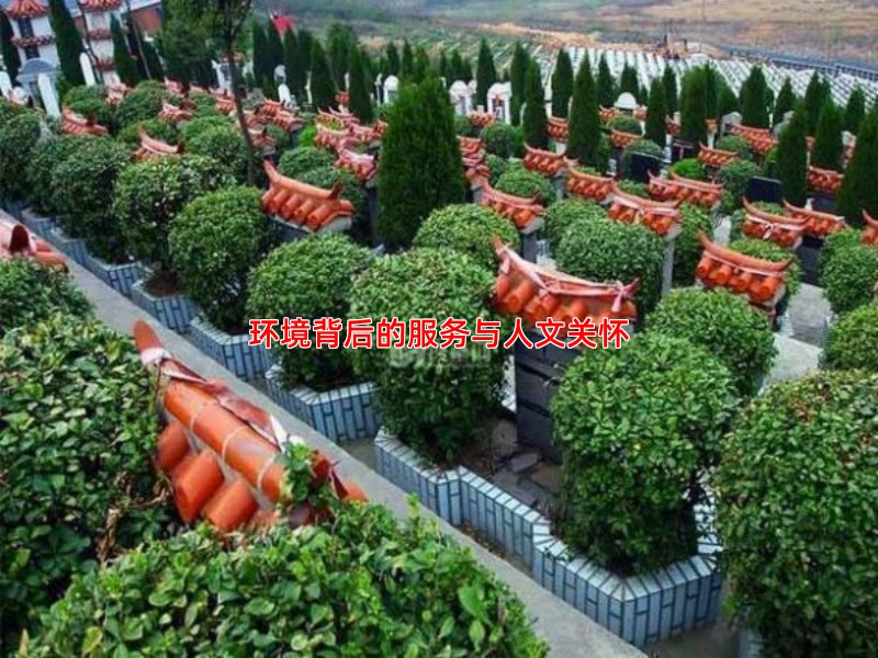 环境背后的服务与人文关怀
