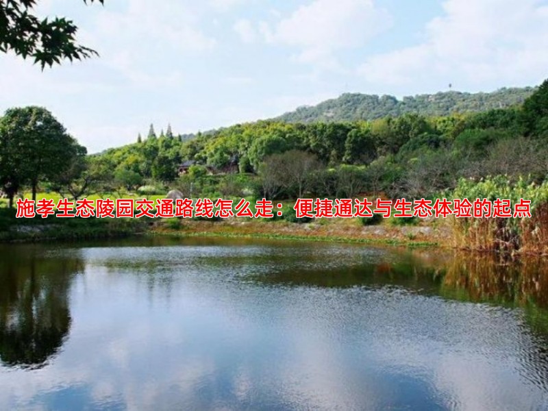 施孝生态陵园交通路线怎么走：便捷通达与生态体验的起点