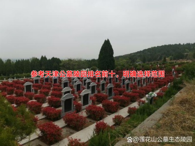 参考天津公墓陵园排名前十，明确选择范围