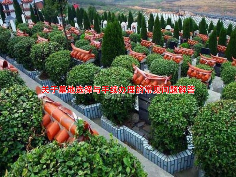 关于墓地选择与手续办理的常见问题解答