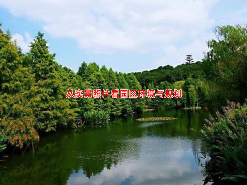 从实景照片看园区环境与规划