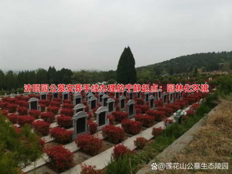 清颐园公墓安葬手续办理的宁静起点：园林化环境