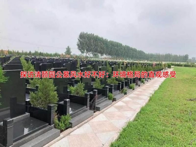 探访清颐园公墓：这里的环境与氛围究竟如何