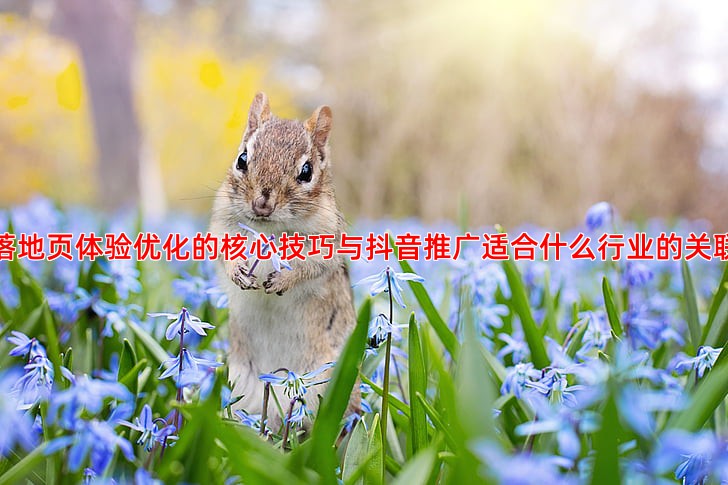 竞价托管中落地页体验优化技巧对转化率的影响分析
