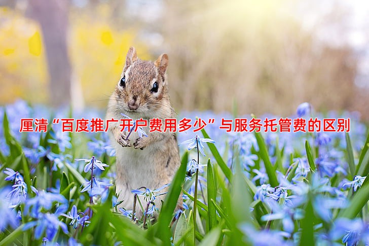 厘清“百度推广开户费用多少”与服务托管费的区别