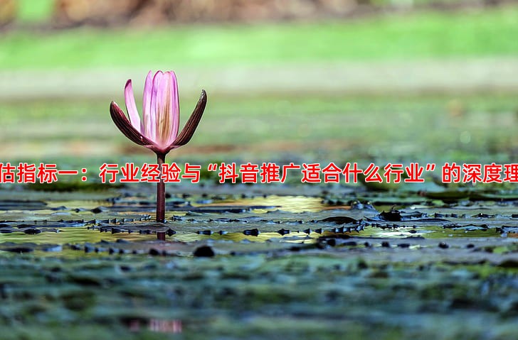 竞价托管服务哪家强，关键要看这几个核心指标