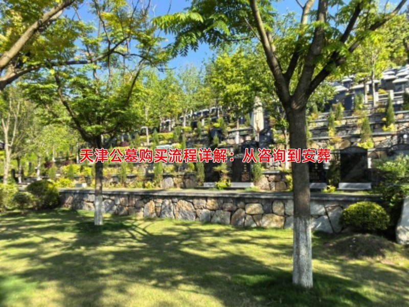 天津公墓购买流程详解：从咨询到安葬