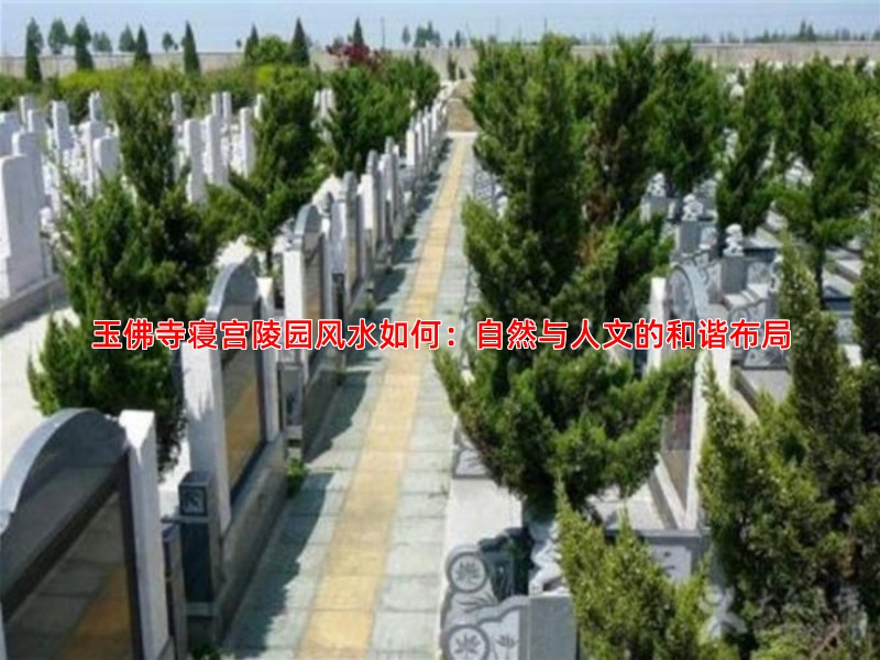 玉佛寺寝宫陵园风水如何：自然与人文的和谐布局