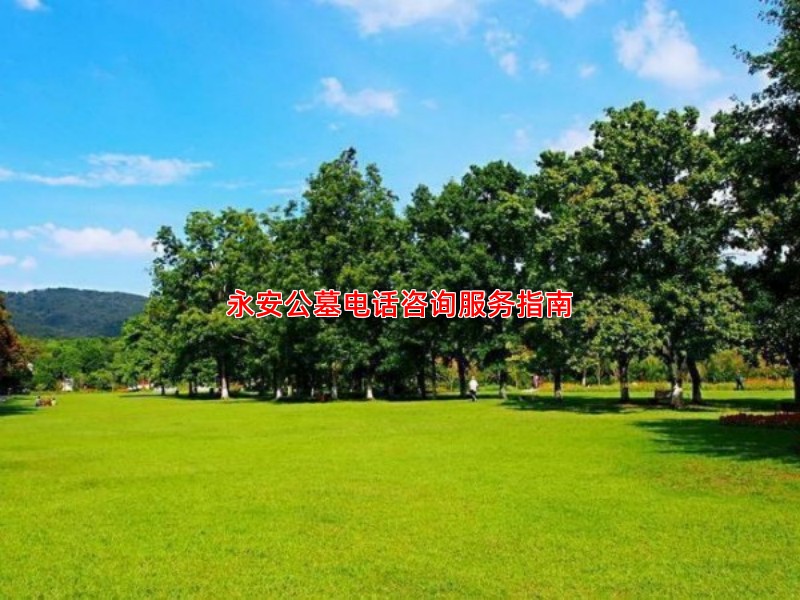 永安公墓电话咨询服务指南