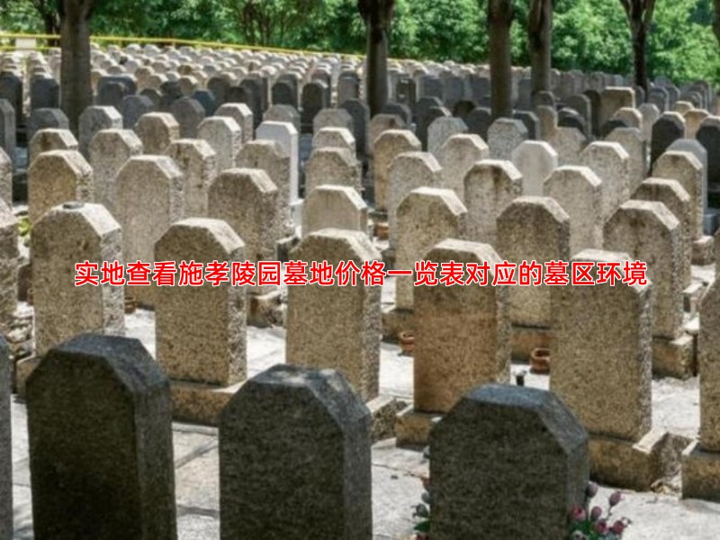 实地查看施孝陵园墓地价格一览表对应的墓区环境