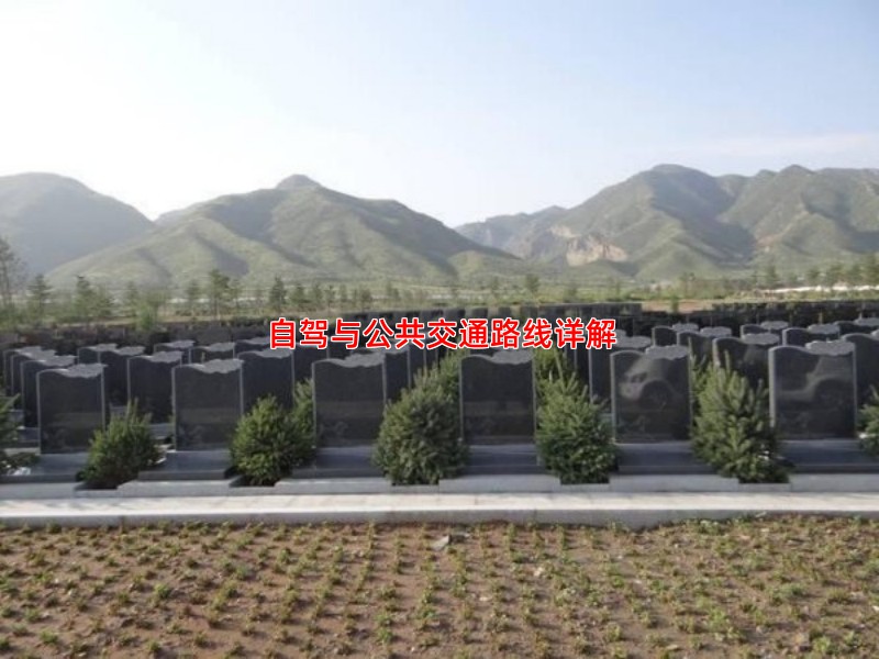 自驾与公共交通路线详解