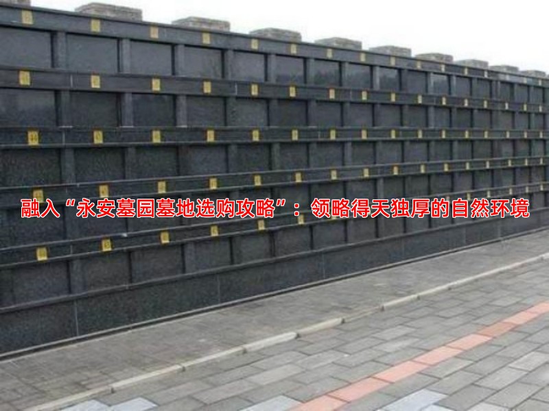 融入“永安墓园墓地选购攻略”：领略得天独厚的自然环境