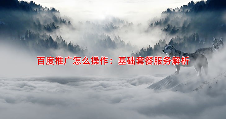 百度推广开户费用包含哪些服务不同套餐对比