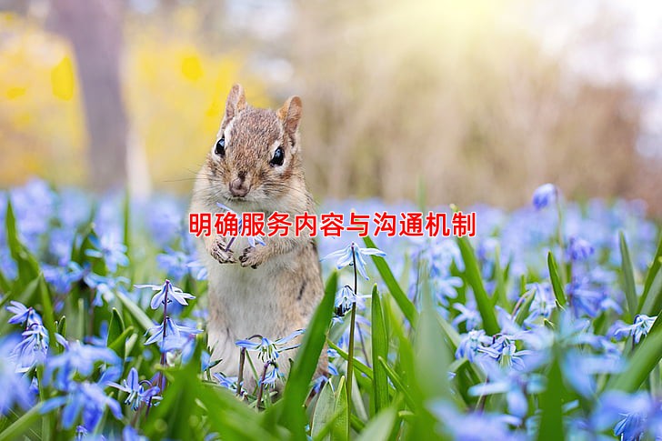 明确服务内容与沟通机制