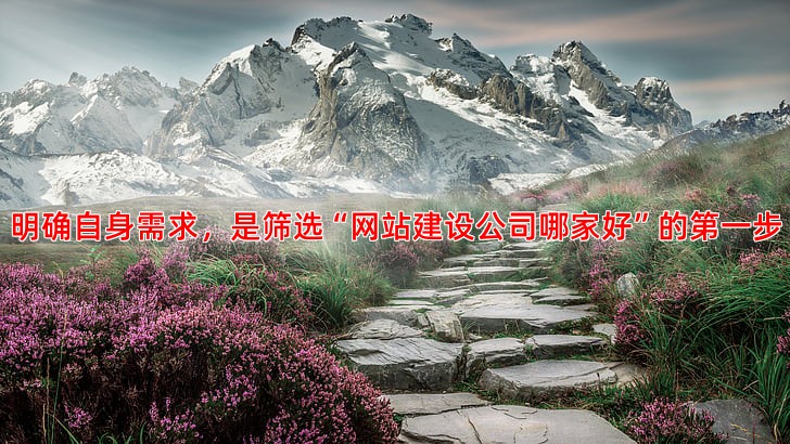 中小企业如何选择适合自身需求的竞价托管公司