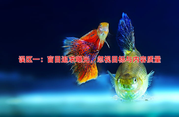 抖音推广投放常见误区与避坑指南详解