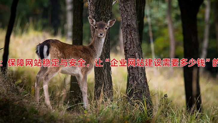 网站上线后如何进行日常维护与更新