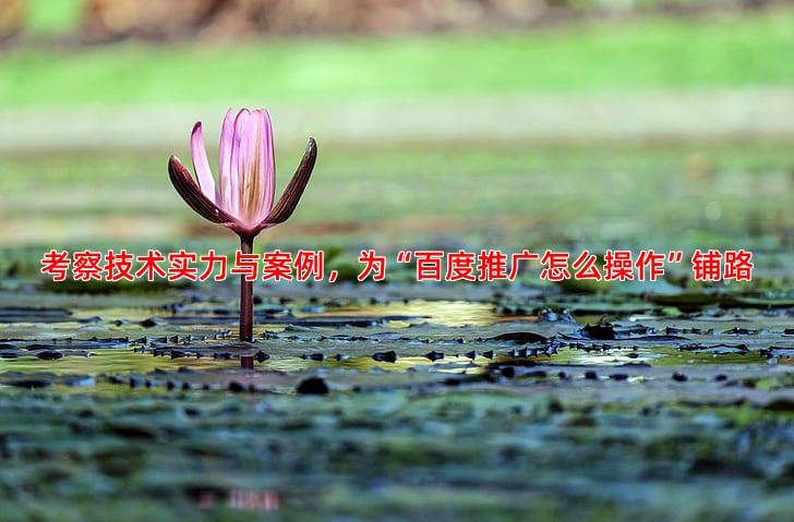 如何选择靠谱的网站建设公司，关键看这几点